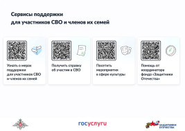 Сервисы для поддержки участников СВО